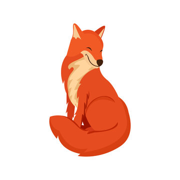 Isolated red fox turtle animated animals jungle vector illustration