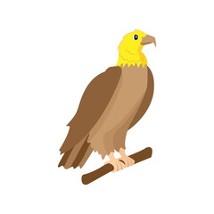 Isolated yellow eagle animated animals jungle vector illustration