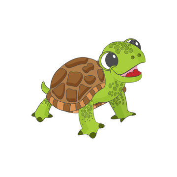 Isolated green turtle animated animals jungle vector illustration