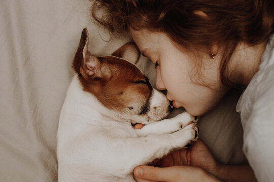 Cute child and his puppy jack russell is sleeping