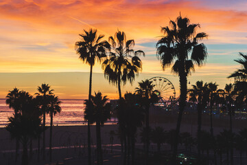 Beautiful view of Palm trees Silhouetted against colorful sunset in Santa Monica, California - obrazy, fototapety, plakaty