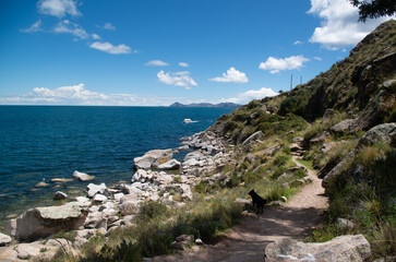 La ville de copacabana et le lac titicaca en Bolivie