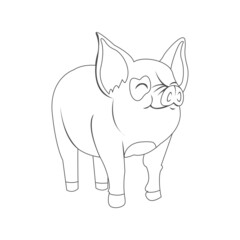 Isolated pig draw animated animals jungle vector illustration