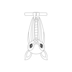 Isolated bat draw animated animals jungle vector illustration