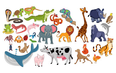 Obraz na płótnie Canvas Set group color animated animals jungle vector illustration