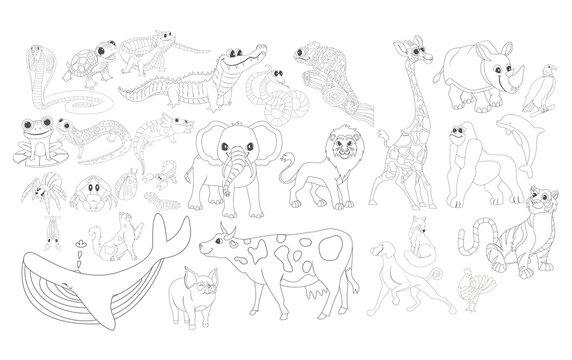Set group draw animated animals jungle vector illustration