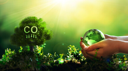 Reduce CO2 emissions to maintain a clean and ecologic friendly environment. Renewable energy-based...