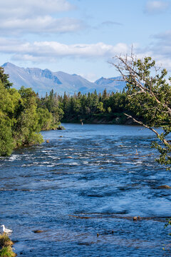 Natural view of the Brooks River in Katmai National Park, Alaska