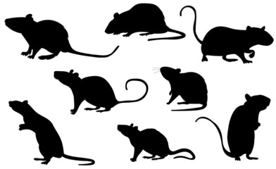 rats, mice set black silhouette isolated vector