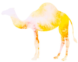 camel watercolor silhouette isolated vector