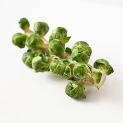 Deurstickers Closeup of fresh brussels sprouts on stalk on a white background © Carlene Thomas/Wirestock Creators