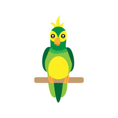 Isolated parrot bird animal fly nature wild vector illustration