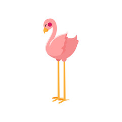 Isolated flamingo bird animal fly nature wild vector illustration