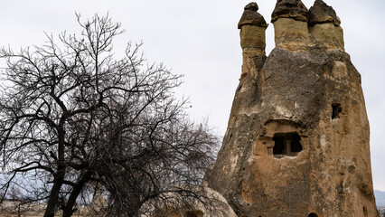 Beautiful shot of a huge stone in Pasabag Monks Valley in Cappadocia, Turkey