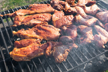 Closeup of cooked pork and chicken meat on a barbeque grill