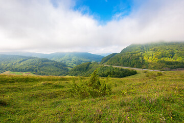 Naklejka premium asphalt road through mountains on a cloudy day. wonderful rural landscape in early autumn