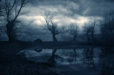 Poster Creepy landscape showing misty dark swamp in autumn © Solid photos