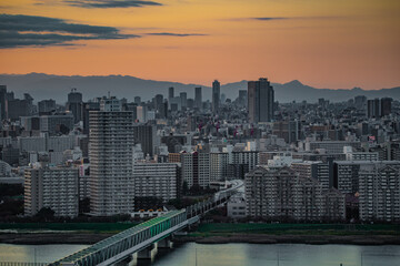 Fototapeta na wymiar 夕暮れに照らされた東京の町並み