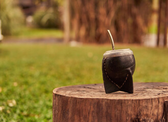 calabash yerba mate on a cut tree trunk with blurred nature in the background. Traditional...