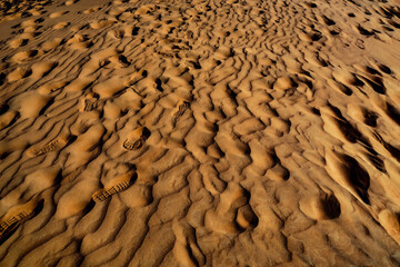 アラビア砂漠の砂