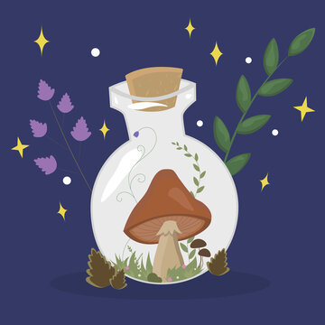 Magic Potion Bottles With Mushroom