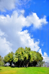 Fototapeta premium Nubes