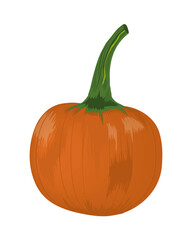 pumpkin vegetable icon