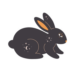 Rabbit with esoteric, mystic, magician elements. Year of the Rabbit. Hand drawn vector illustration