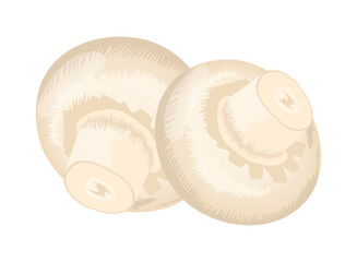 mushroom vegetable icon