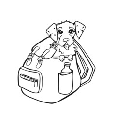 Line symbol of a backpack in which a dog sits tourist, for travel