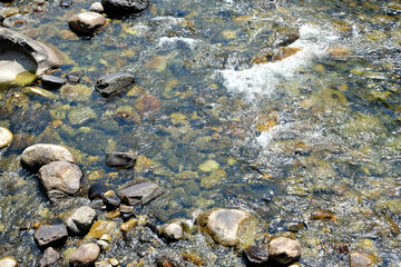 Creek stream with rock and tree next to Wawona Camp in Yosemite.