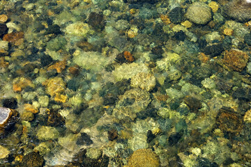 Creek stream with rock and tree next to Wawona Camp in Yosemite.