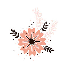 flower foliage nature