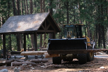 Fototapeta na wymiar Timber truck in the Yosemite