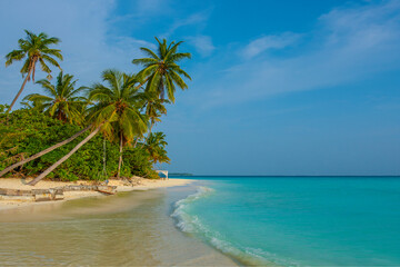 Maldives Islands Tropical