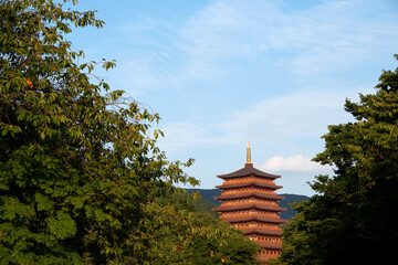 Bomun Tourist Complex in Gyeongju-si, South Korea.