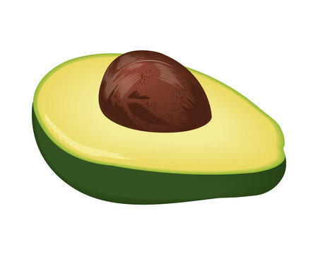 half avocado vegetable icon