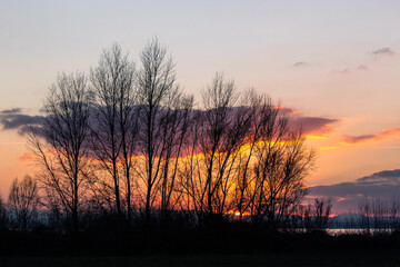 Bare trees silhouette against a beautiful, sunset sky