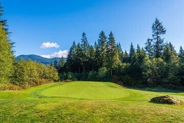 Golf course with gorgeous green and fantastic forest view.