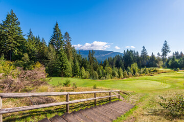Fototapeta na wymiar Golf course with gorgeous green and fantastic forest view.