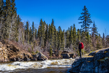 Image of white water rapids in a pristine river in the boreal forest on a sunny day. A hiker with a...
