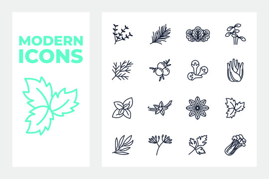Spices, condiments and herbs set icon symbol template for graphic and web design collection logo vector illustration
