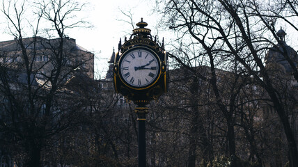Fototapeta na wymiar Park Clock 