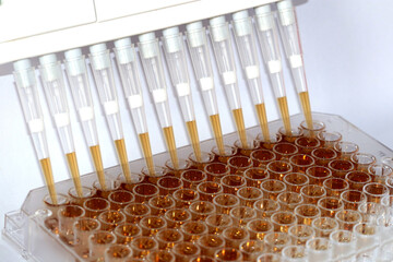 12-channel micropipette taking samples from a multiwell plate