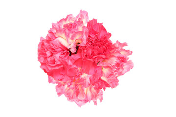 カーネーションとアルストロメリアの花束