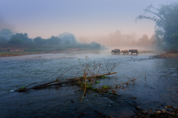 Countryside landscape, Muang Kong, Chiang Dao district, Chiang Mai province in Thailand.