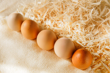 Group fresh brown chicken eggs in the straw.