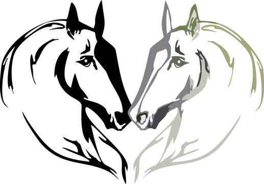 Two horse head in heart form on white for your design. Heart-shaped horse heads for emblems, logos, interior solutions, business ideas, textiles, tattoos, prints, fashion, fabric, wallpaper, etc.