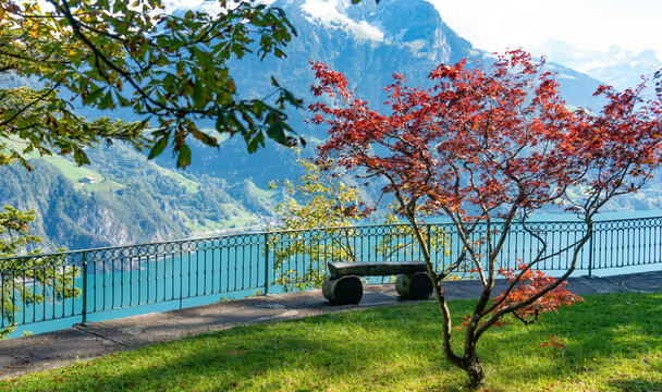 beaufiful park in switzerland