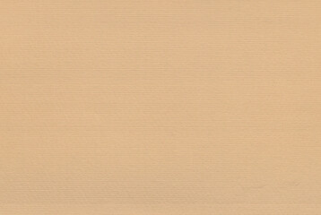 Fototapeta na wymiar beige rimmed paperboard texture background